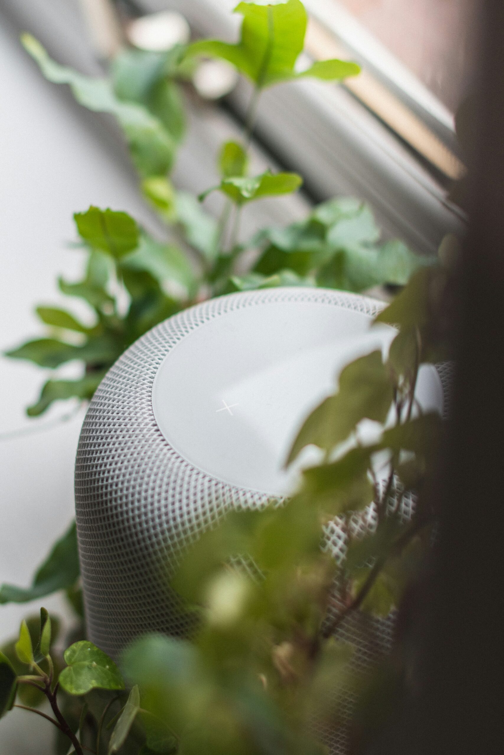 What’s The Best Smart Speaker For Home Use?