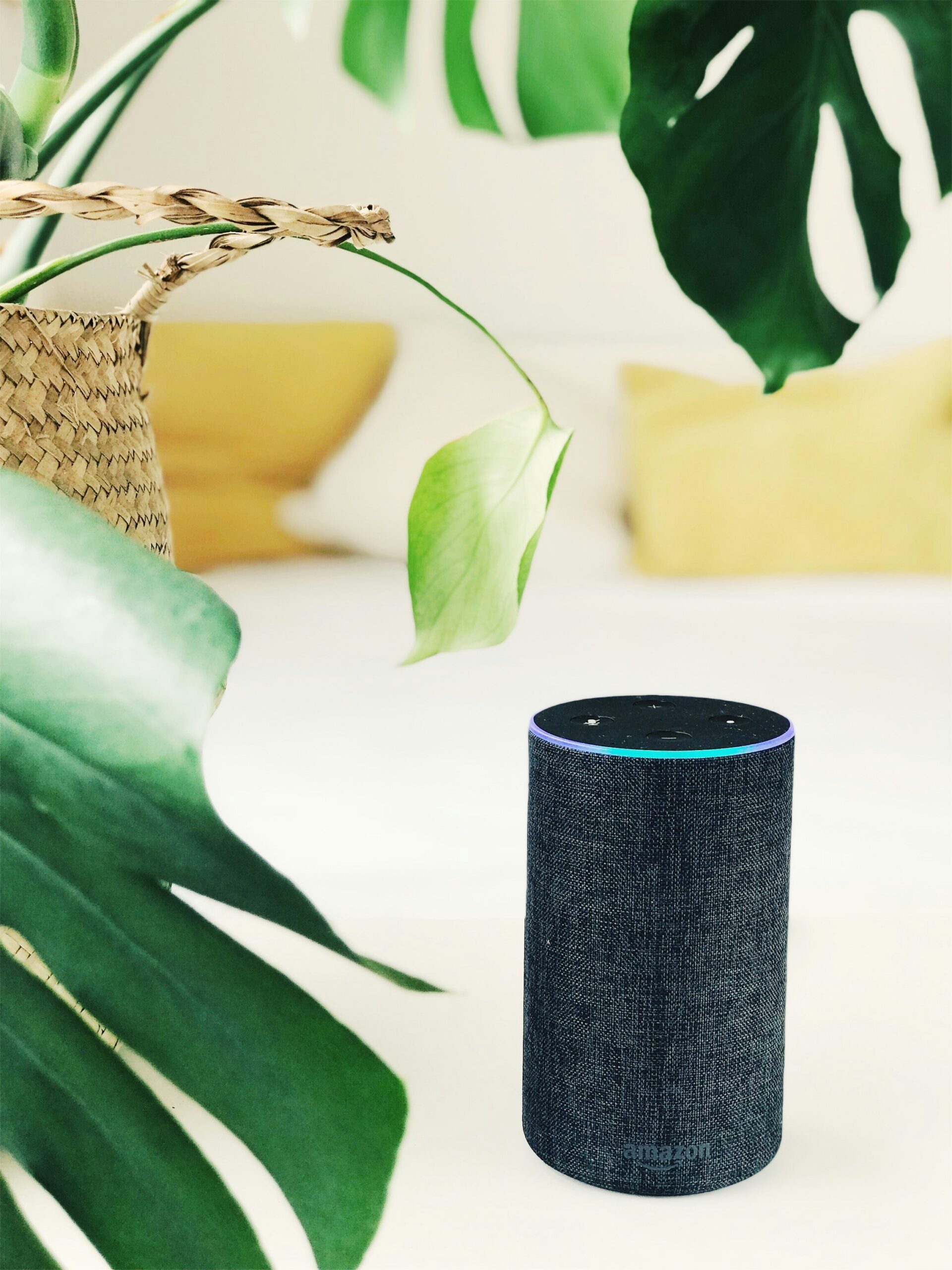 What’s The Best Smart Speaker For Home Use?